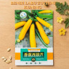 Benih Labu Zucchini Kuning