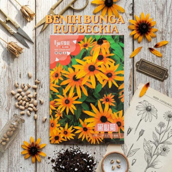 Benih Bunga Rudbeckia
