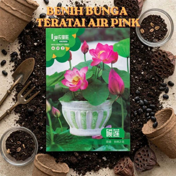 Benih Bunga Teratai Air Pink