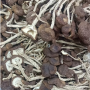Cha Shu Gu - Agrocybe Aegerita 250gram