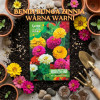Benih Bunga Zinnia Warna-warni