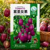 Benih Tomat Cherry Ungu