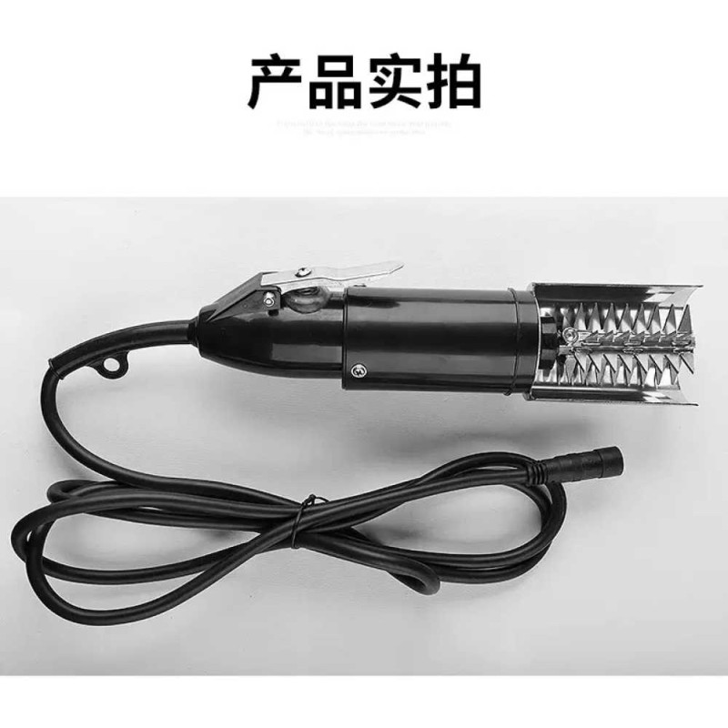 Electric fish scaler
