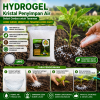 Kristal Air Hydrogel Water Crystal - Hidro Absorben -1Kg/Pack