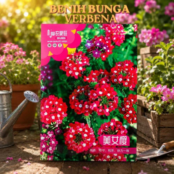 Benih Bunga Verbena