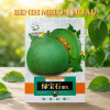 Benih Melon Hijau​