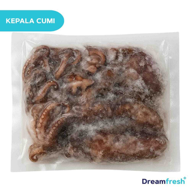 Kepala Cumi-Cumi