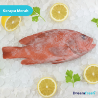 Ikan Kerapu Merah
