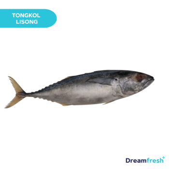 Ikan Tongkol Banjar Cakalang Batik Kecil