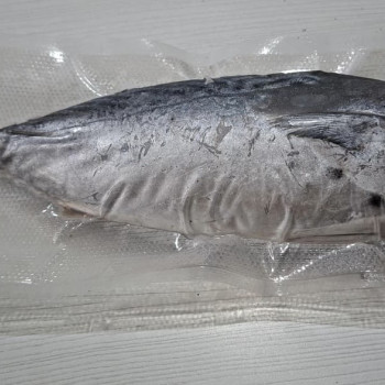 Ikan Tongkol Banjar Cakalang Batik