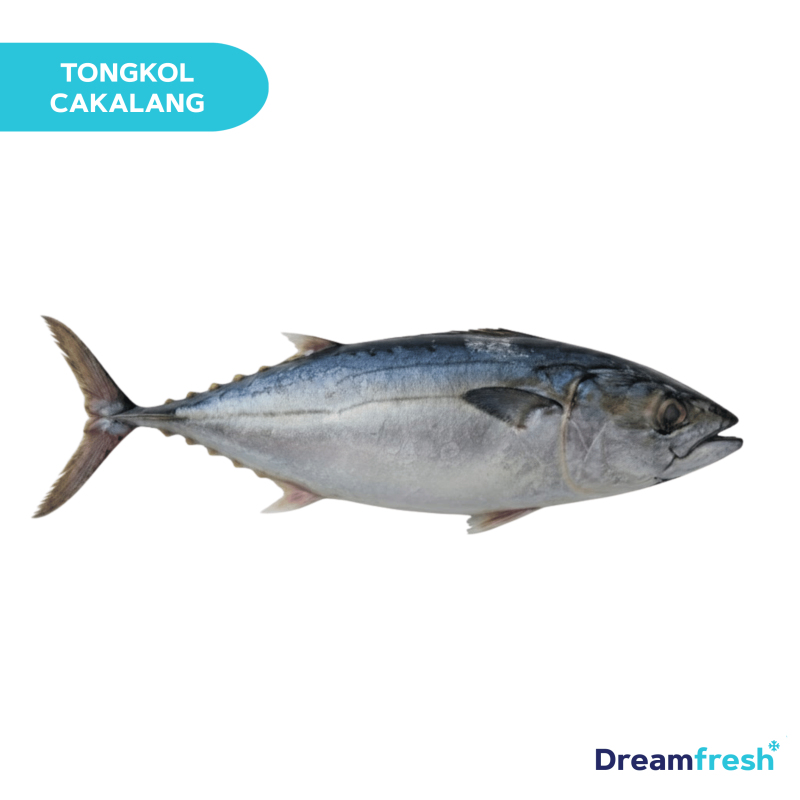 Ikan Tongkol Banjar Cakalang Batik