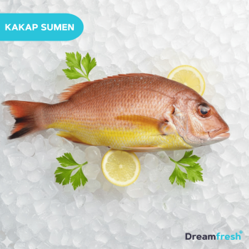Ikan Kakap Suman - Sumen