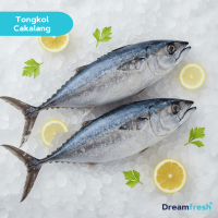 Ikan Tongkol Banjar Cakalang Batik