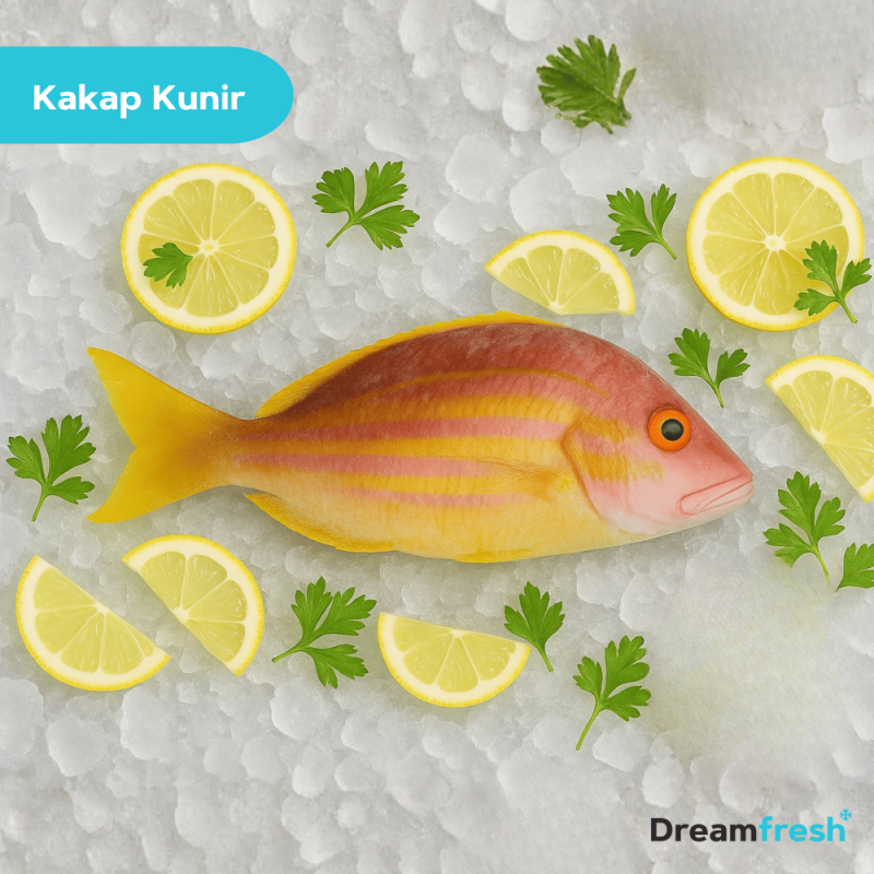 Ikan Kakap Kunir Kuniran