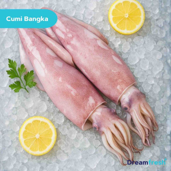 Cumi-Cumi Fresh + Cuci (Isi Perut)