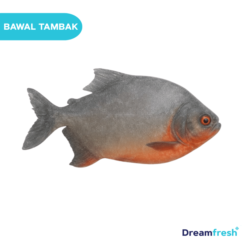 Ikan Bawal