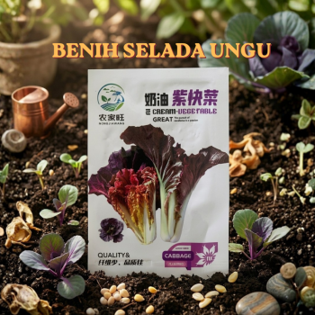 Benih Selada Merah