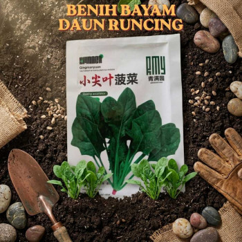 Benih Bayam Daun Runcing