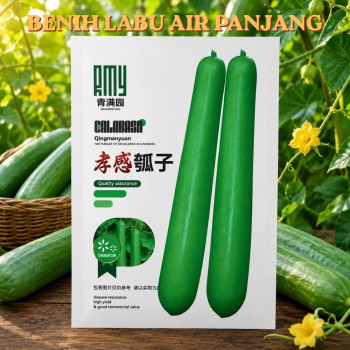 Benih Labu Air Panjang