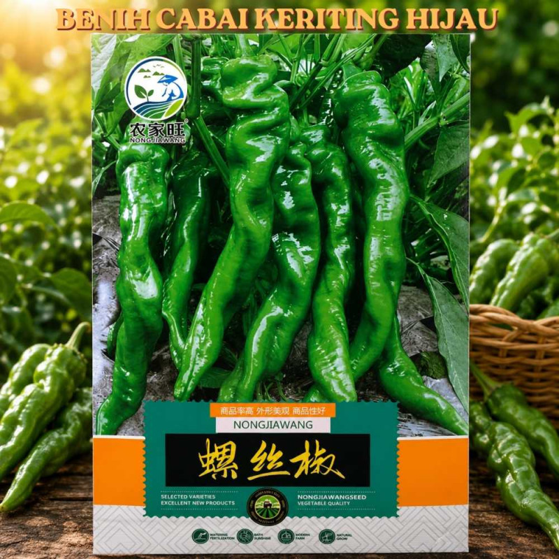 Benih Cabai Keriting Hijau