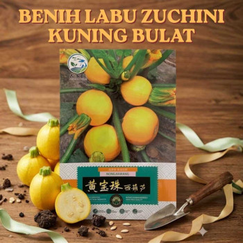 Benih Labu Kuning Zucchini Hibrida Bulat