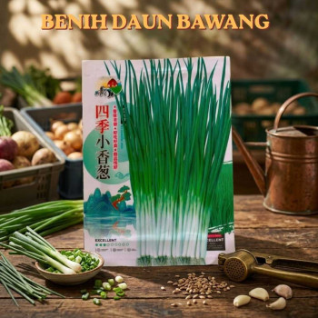 Benih Daun Bawang