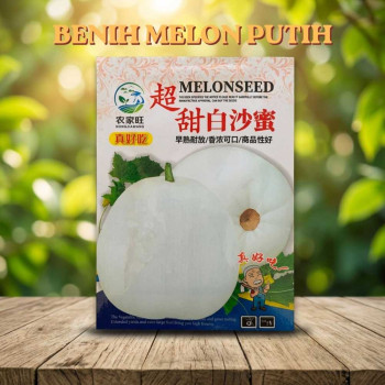 Benih Melon Putih