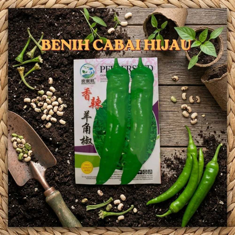 Benih Cabai Hijau