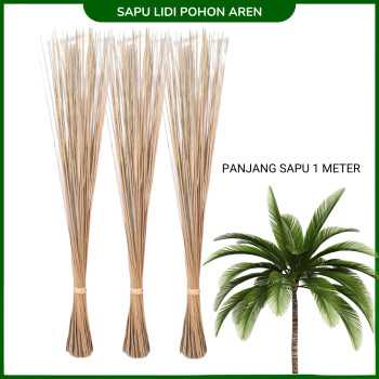 Sapu Lidi