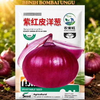 Bawang Bombai Ungu