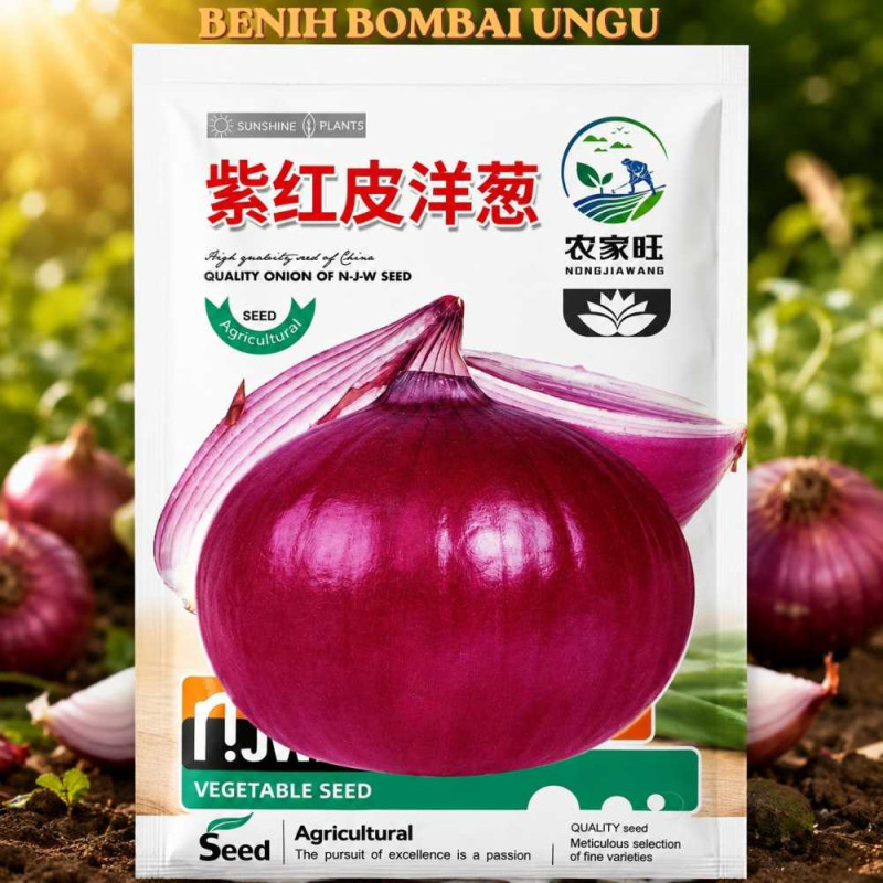 Bawang Bombai Ungu