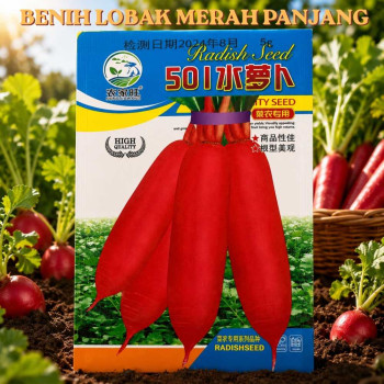 Benih Lobak Merah Panjang