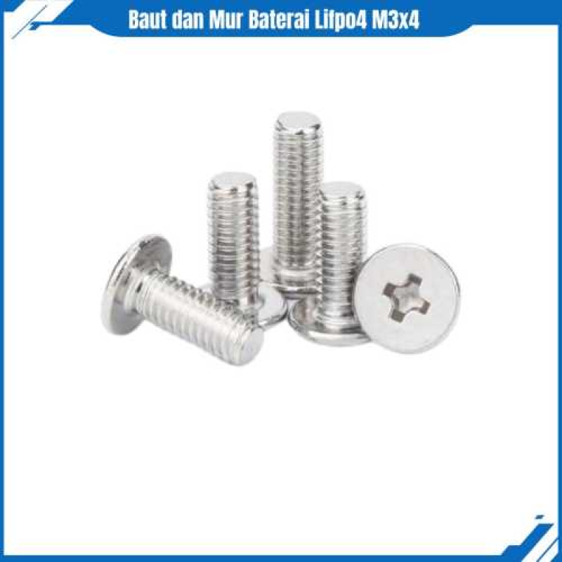 Baut Mur M4 Flat Low Profile SS M4x6