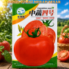 Benih Tomat Merah Besar