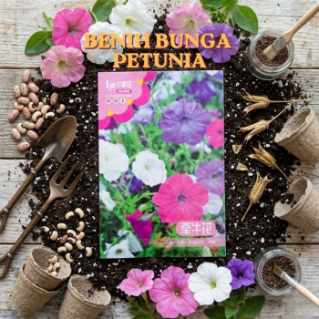 Benih Bunga Petunia