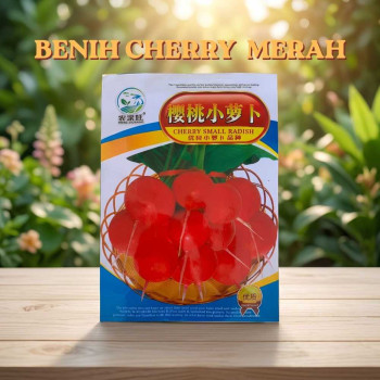 Benih Lobak Ceri Merah