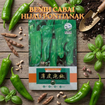 Benih Cabai Hijau Pontianak
