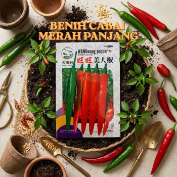 Benih Cabai Merah Panjang