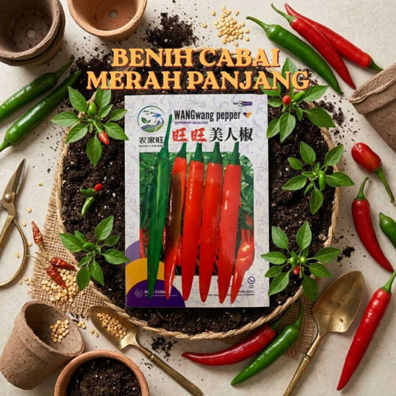 Benih Cabai Merah Panjang