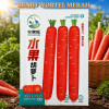 Benih Wortel Merah