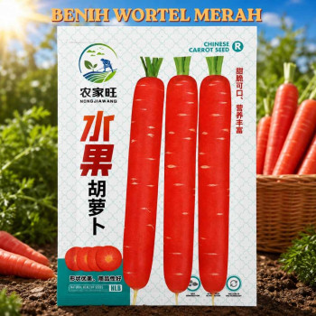 Benih Wortel Merah