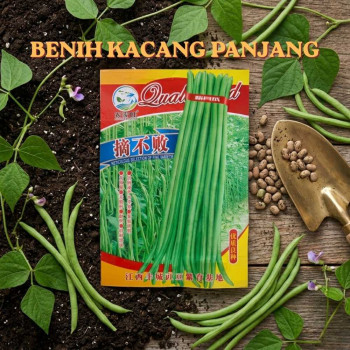 Benih Kacang Panjang