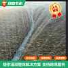 PE Soft Belt 50mm Thickness 0.3mm 150m/roll  with 7 holes