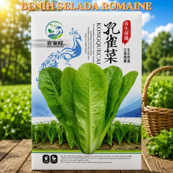 Benih Selada Romaine
