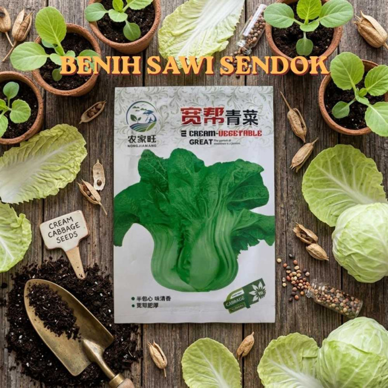 Benih Sawi Sendok
