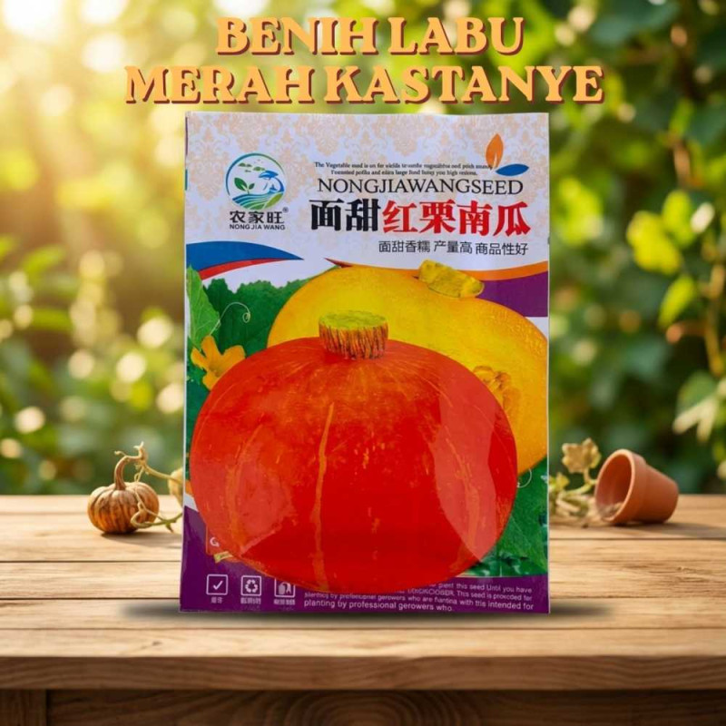 Benih Labu Kabocha Merah Jepang