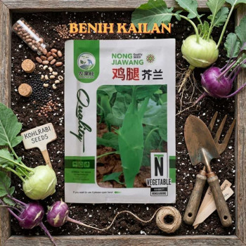 Benih Kailan