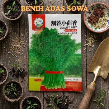 Benih Adas Sowa