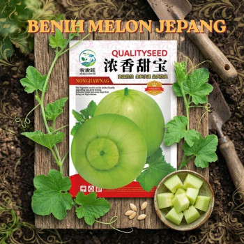 Benih Melon Jepang