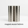 Magnet Neodymium - Coin (D5mm*2mm)